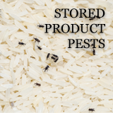 Stored-Product-Pest-Control-Warrington