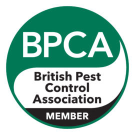 Pest Control – What sets us above others?